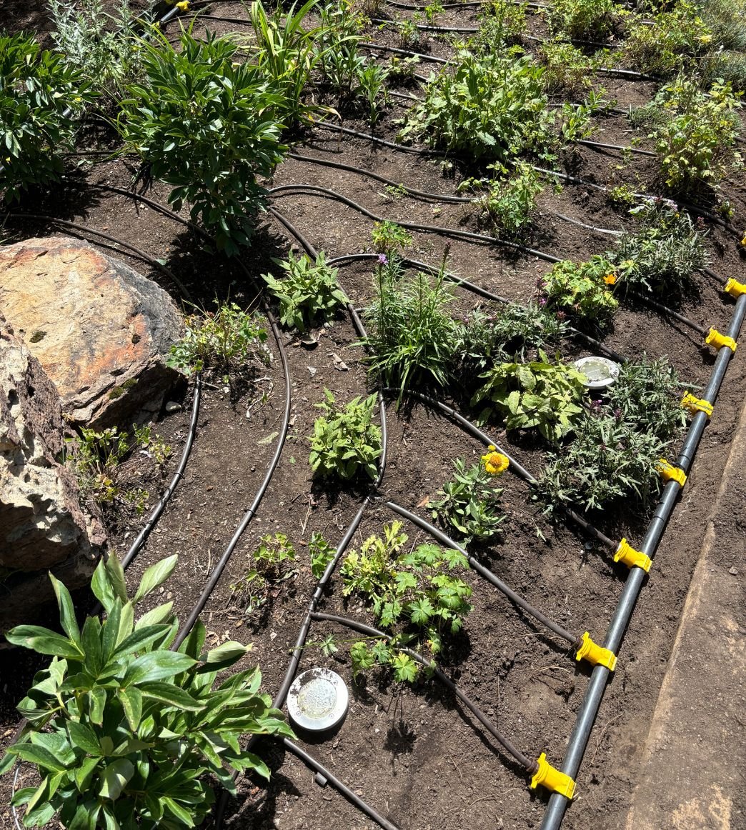 sprinkler service in denver