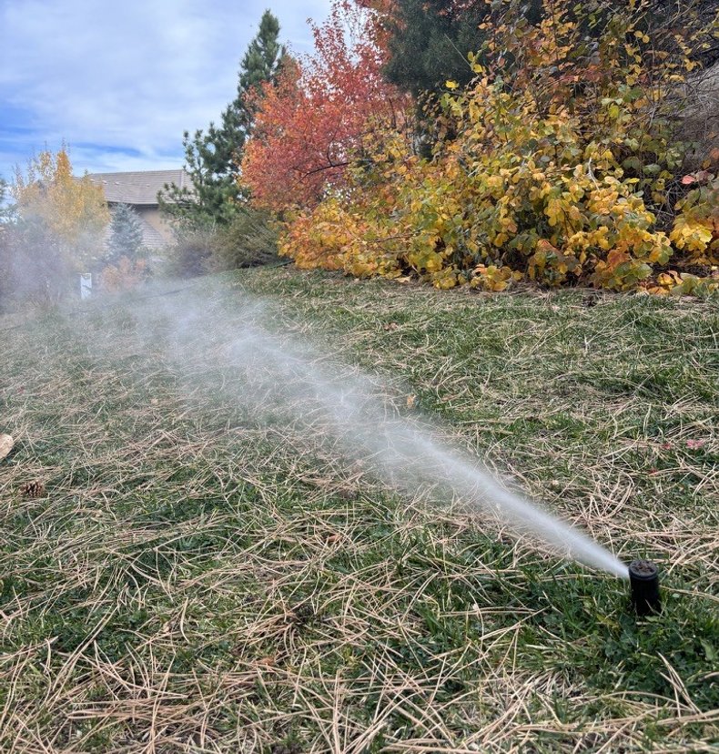 Sprinkler system misting across a dormant fall lawn during a Denver winterization blowout