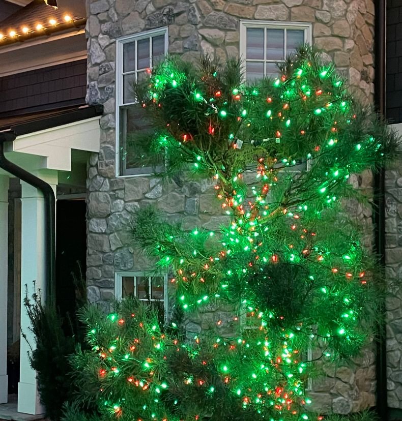 holiday lighting project