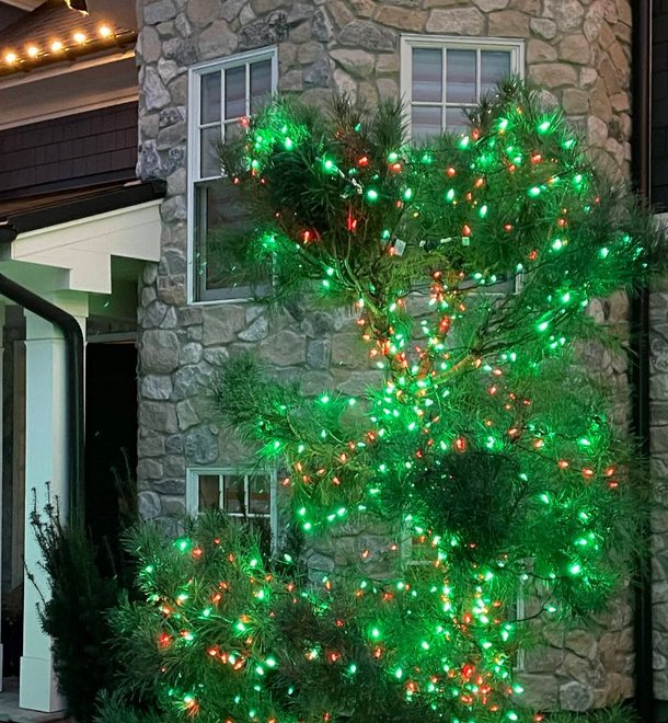 sunlight sprinkler holiday lighting