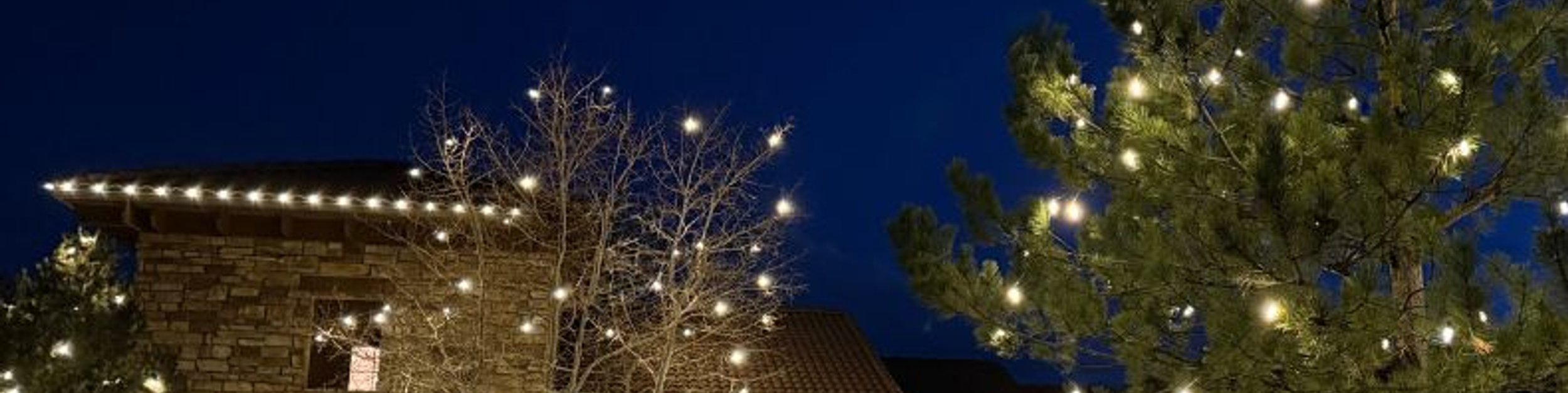 Professional holiday lighting installation in the Denver metro area