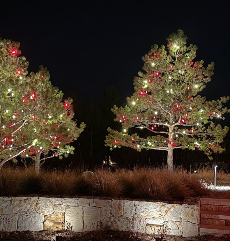 full home holiday lighting installation in Lone Tree Colorado