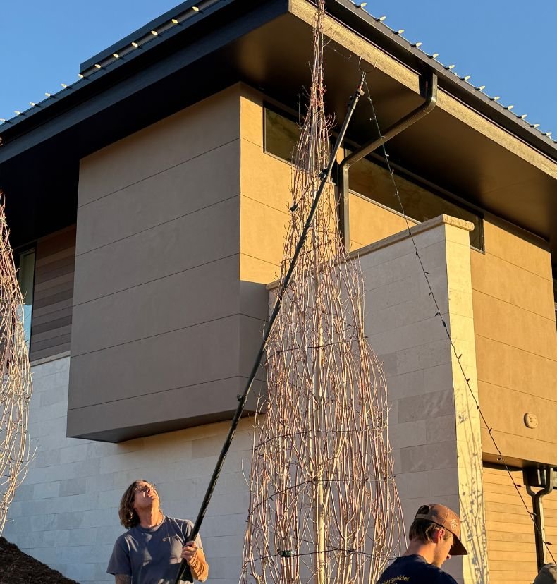 holiday lighting along walkways and landscaping in Castle Rock Colorado