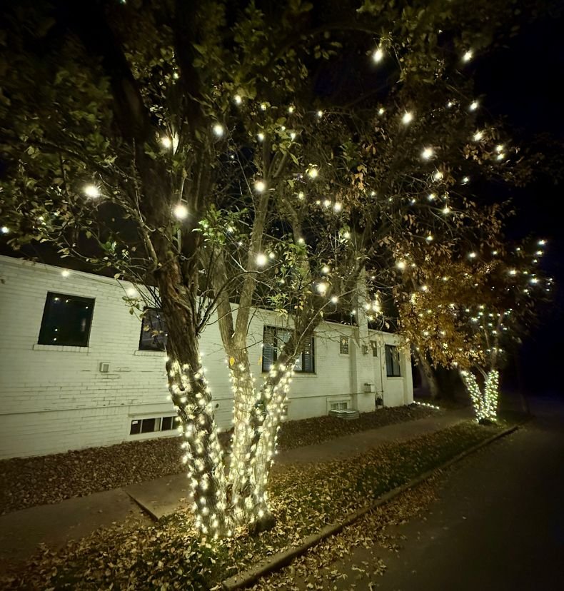 warm holiday glow on a residential property in Englewood Colorado