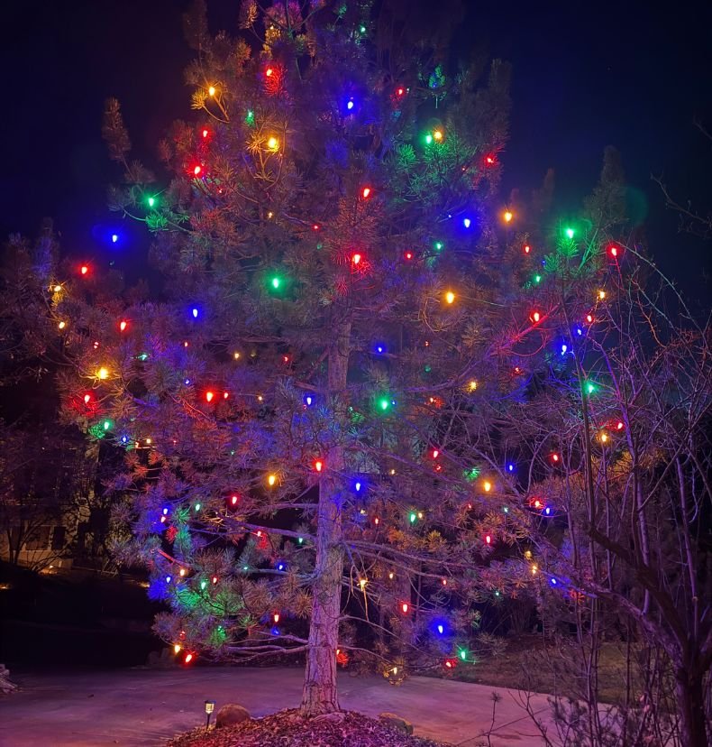 custom outdoor holiday lighting display in the Denver metro area