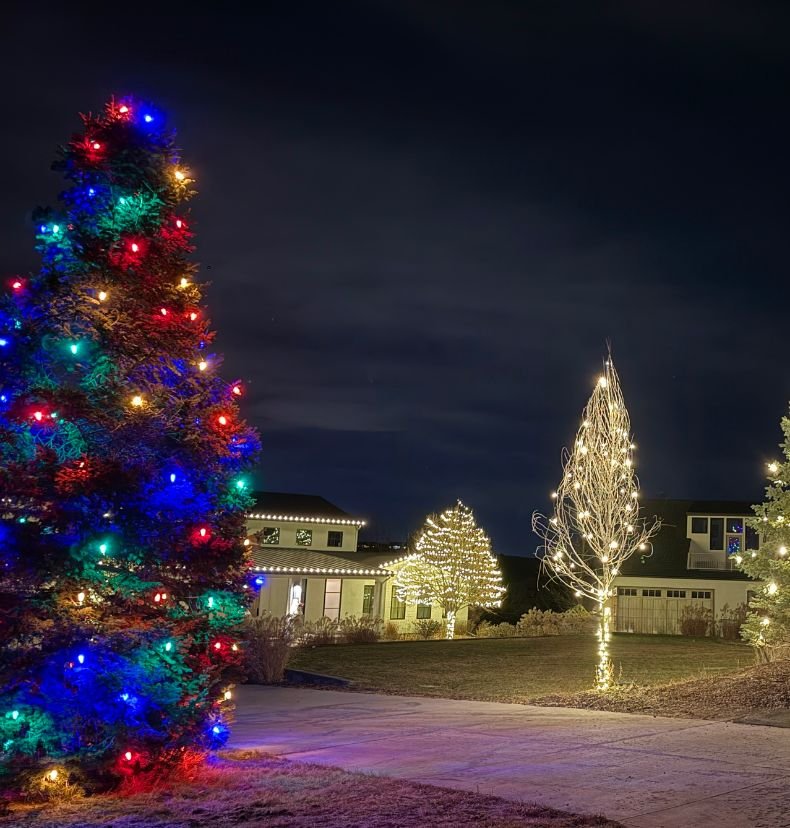 holiday light wrapped trees and shrubs at a Centennial Colorado property