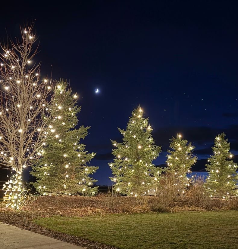 commercial holiday lighting installed by Sunlight Sprinkler in Denver Colorado