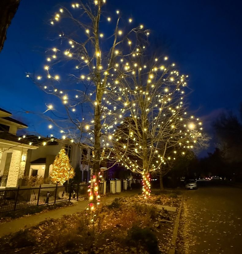 LED holiday lights decorating a residential property in Parker Colorado