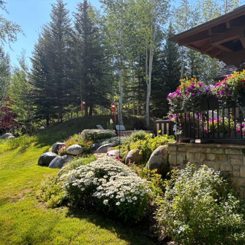 residential lawn with healthy irrigation coverage in south Denver metro