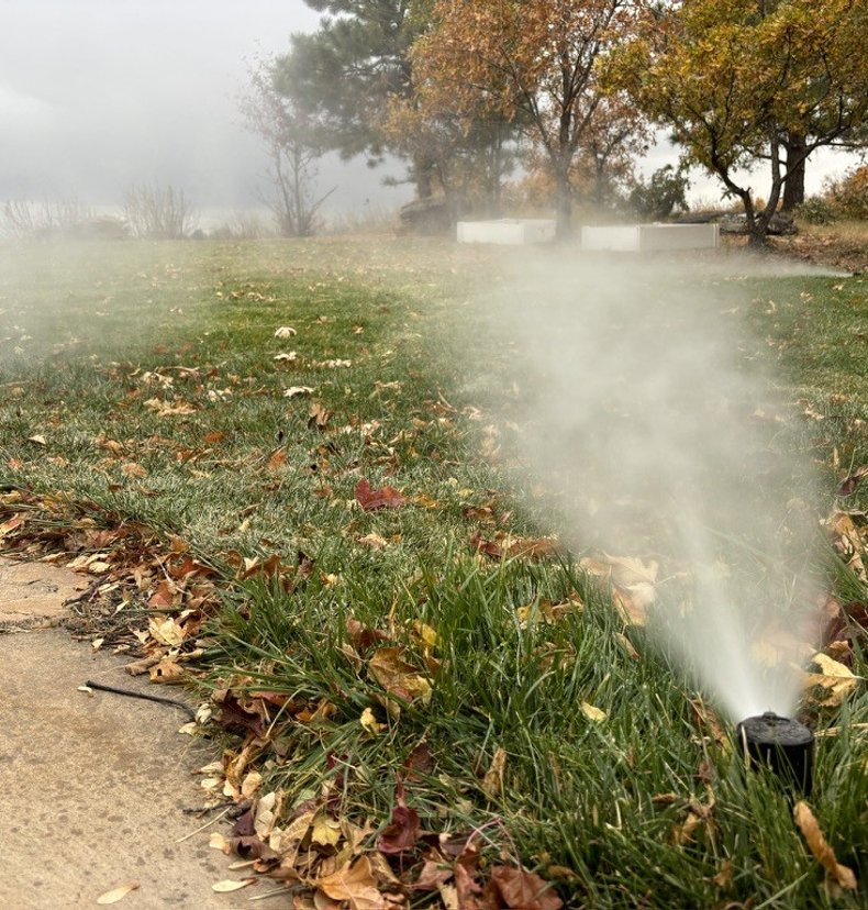 Close up of a sprinkler head clearing water during a fall blowout on a leaf covered lawn