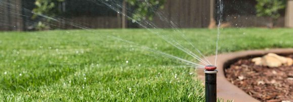 green irrigated grass lawn sprinklers