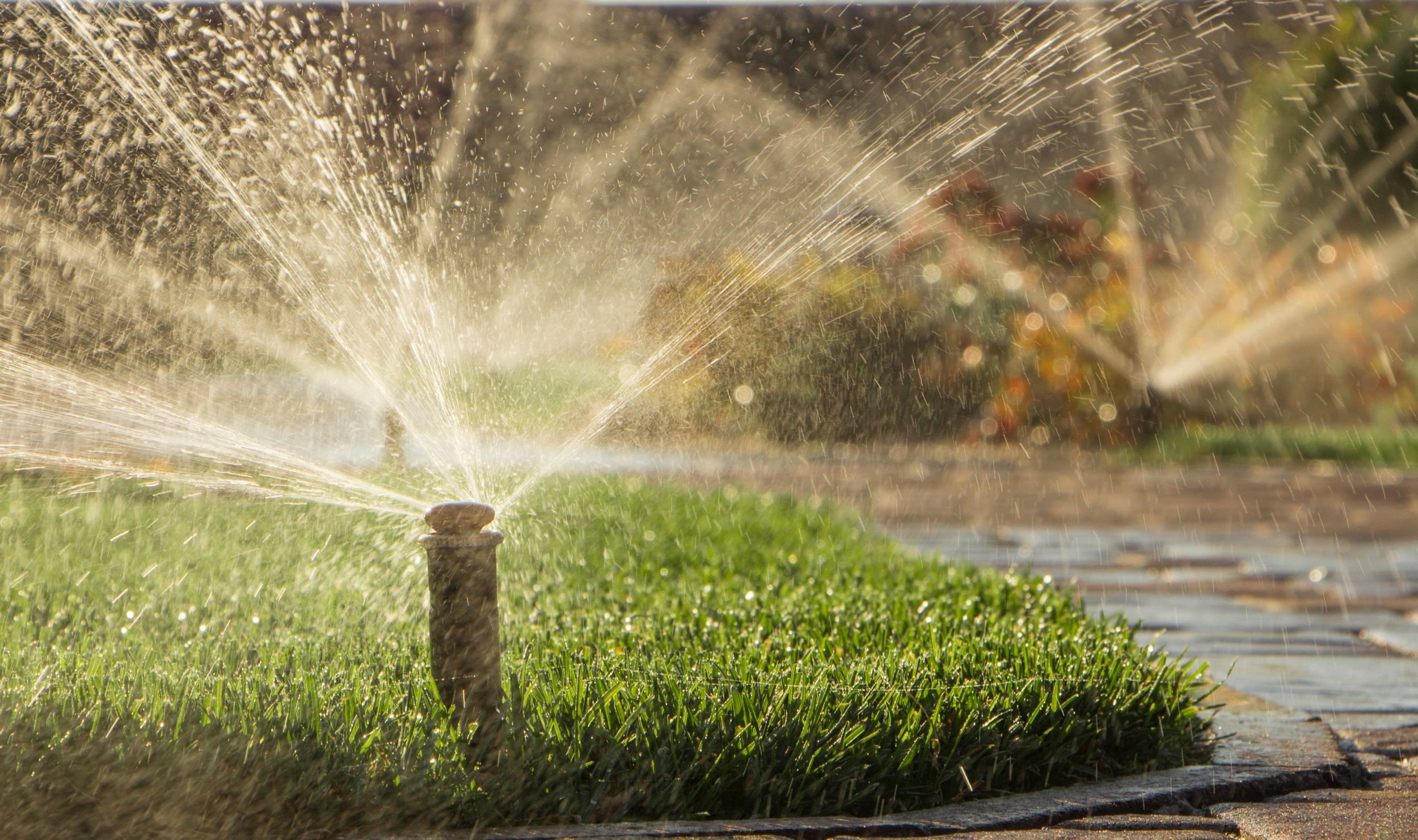 backyard sprinkler system