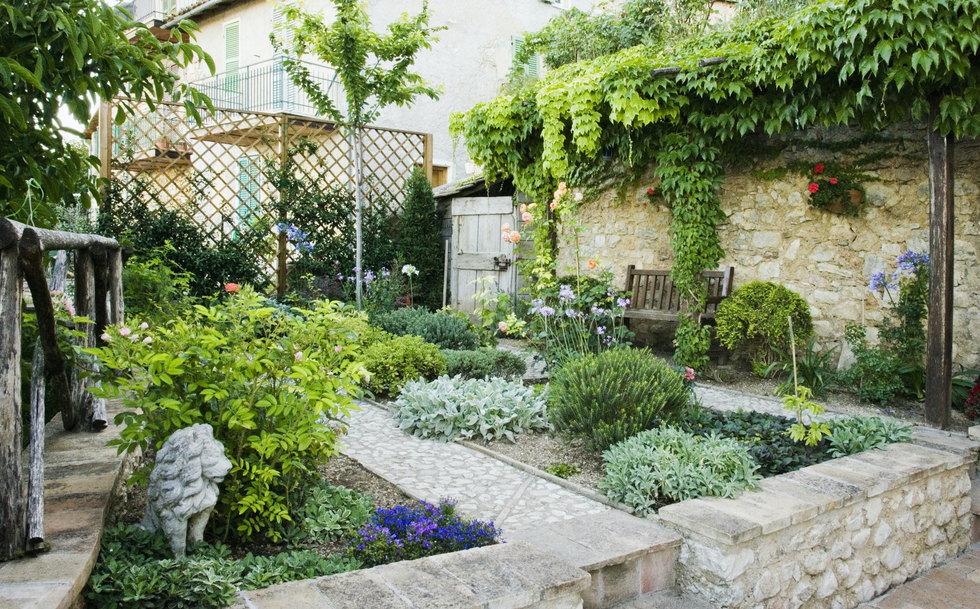 backyard garden