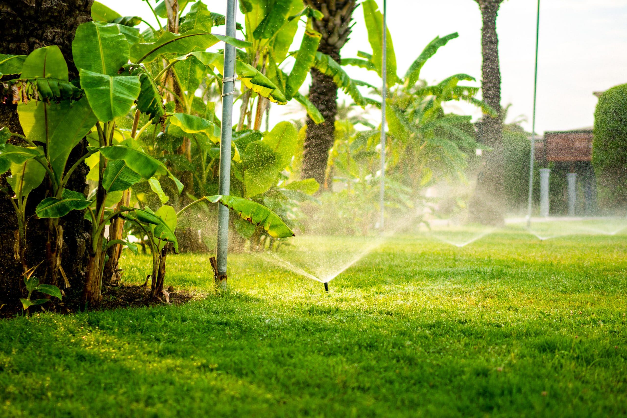 7 Common Sprinkler System Repair Mistakes to Avoid