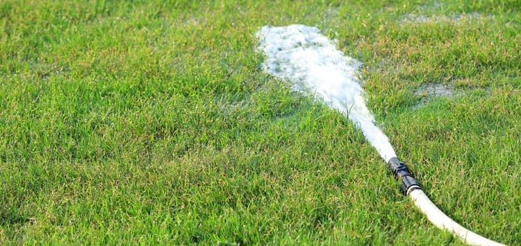 How to Avoid Lawn Watering Mistakes