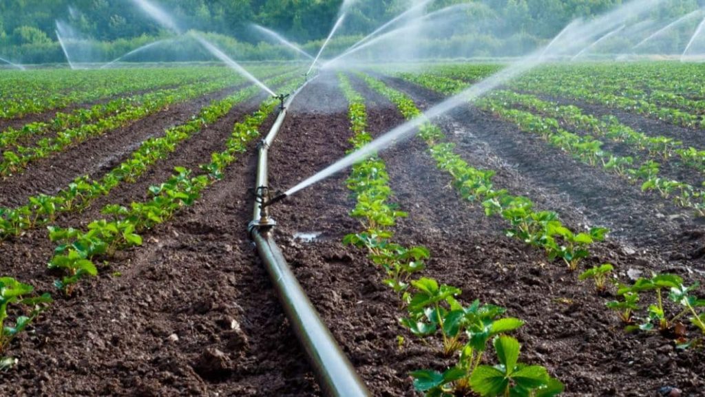 irrigation-management-aurora-co