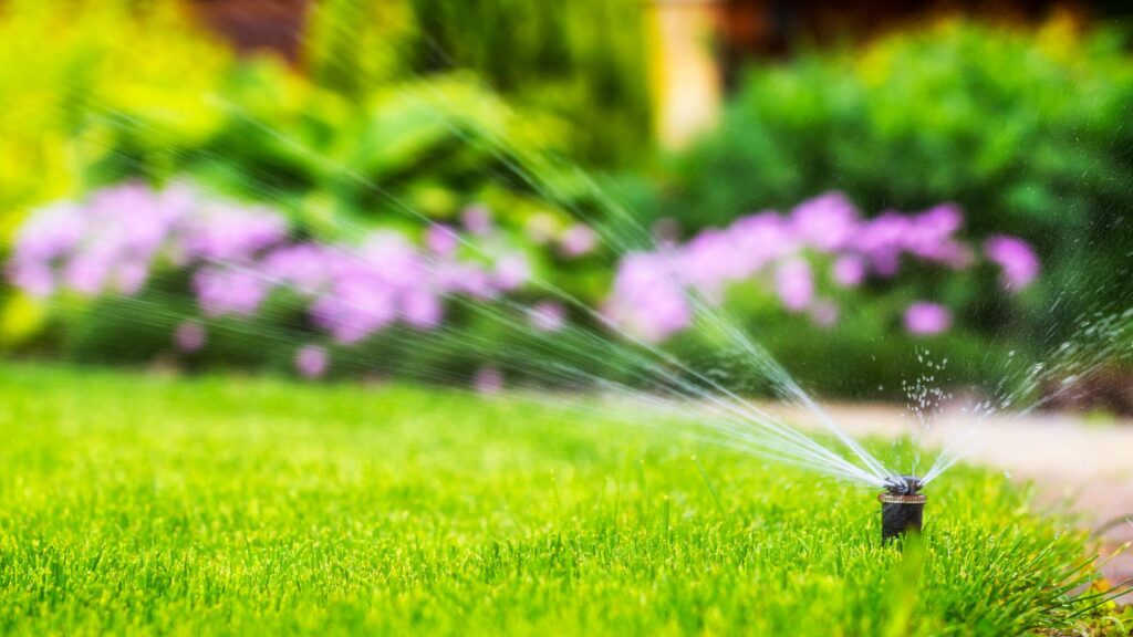 Lawn irrigation system working in a green park. Spraying the lawn with  water in hot weather. Automatic sprinkler. The automatic watering sprinkler  head watering the lawn. Smart garden. 18726157 Stock Video at